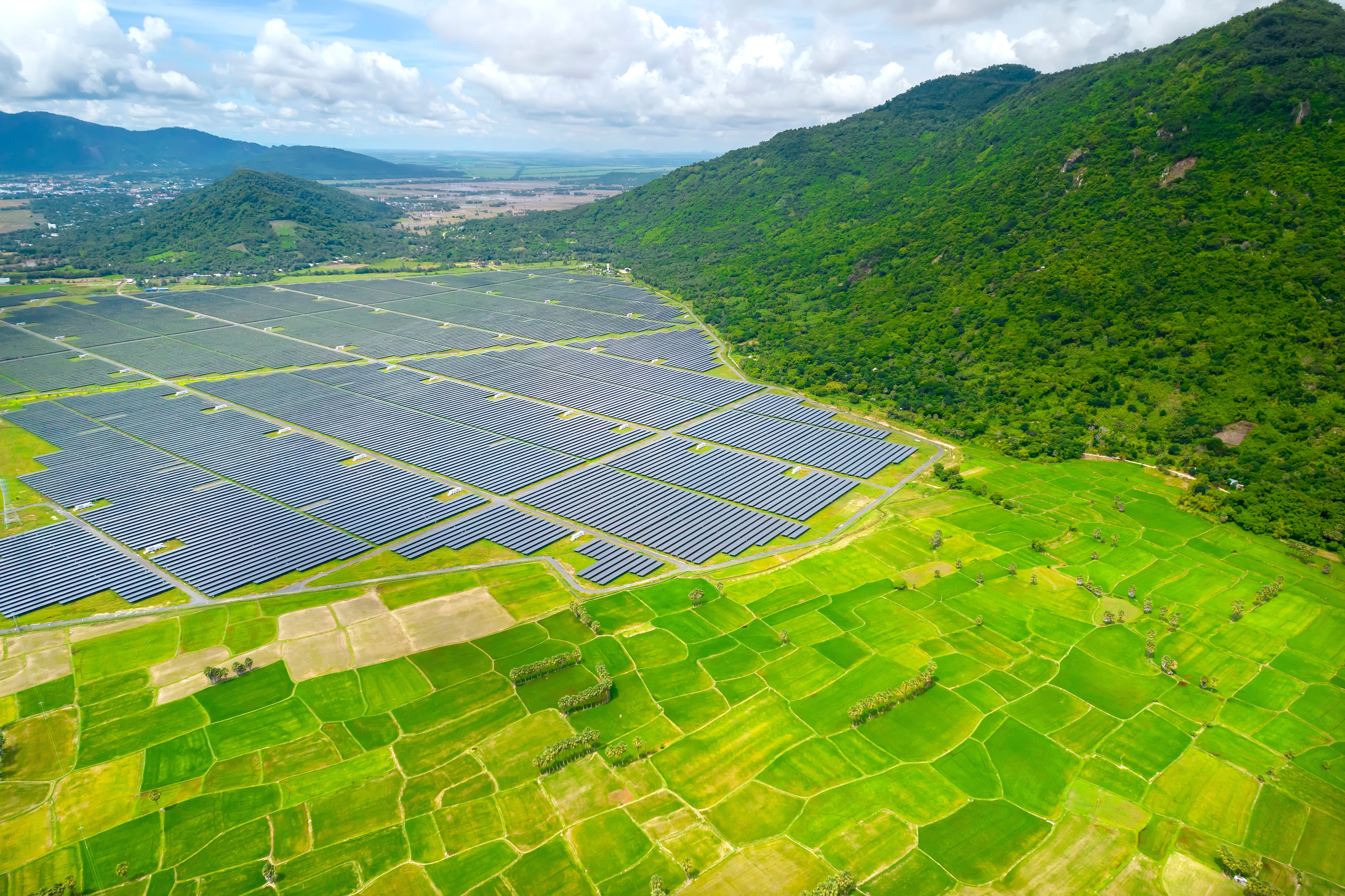 photo depicts Rice fields interspersed with solar power fields in the morning, a combination of agriculture and energy industry in the border region of Vietnam