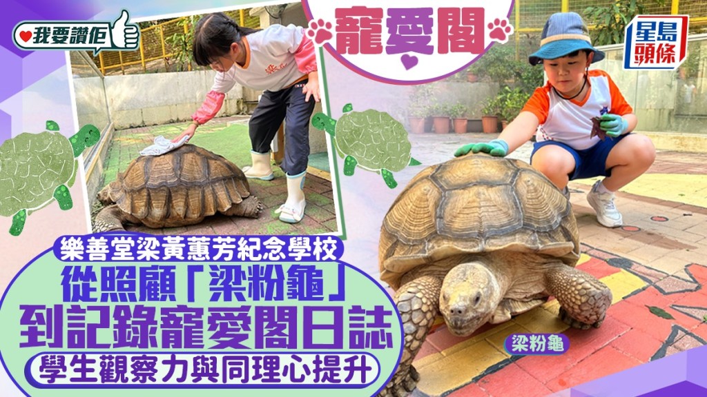 樂善堂梁黃蕙芳紀念學校飼養動物，培養學生責任感。