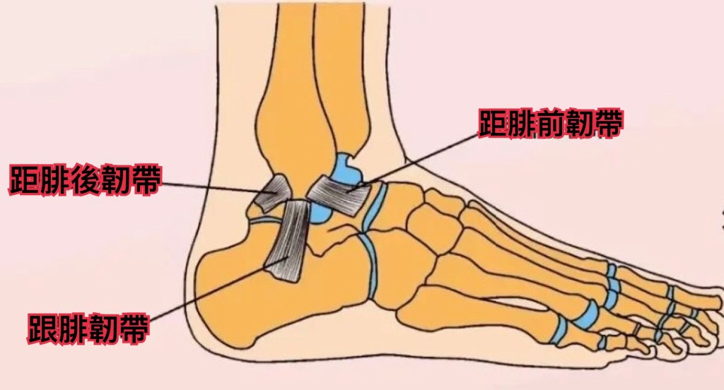 拗柴如果處理馬虎，很容易演變成「習慣性拗柴」。圖片由筆者提供