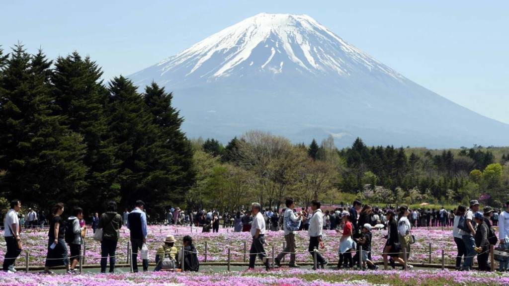 遊客在富士山下觀賞櫻花。新華社