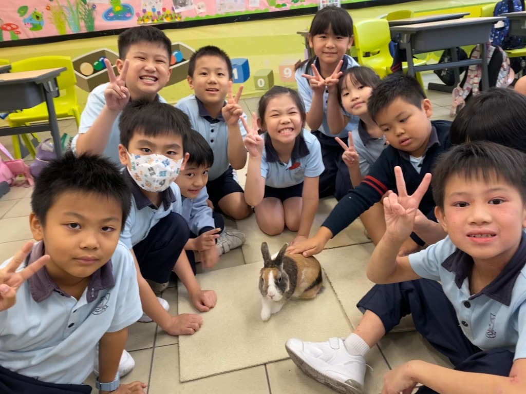  學生與動物互動能紓緩壓力，培養積極的生活態度，建立健康的情感連結。