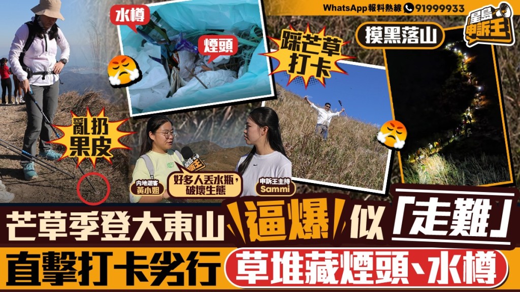 星島申訴王｜芒草季登大東山逼爆似「走難」  直擊打卡劣行  草堆藏煙頭水樽紙巾