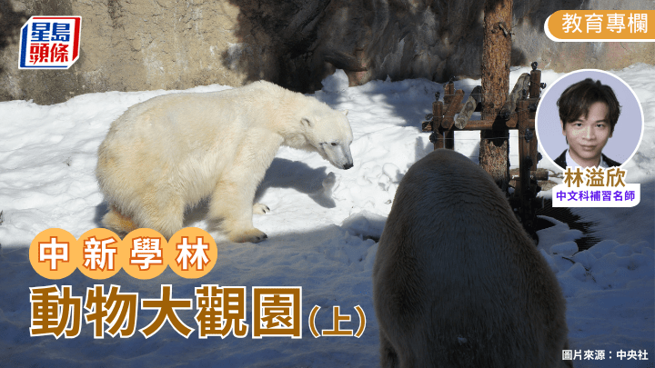 林溢欣 - 動物大觀園（上） - 中新學林