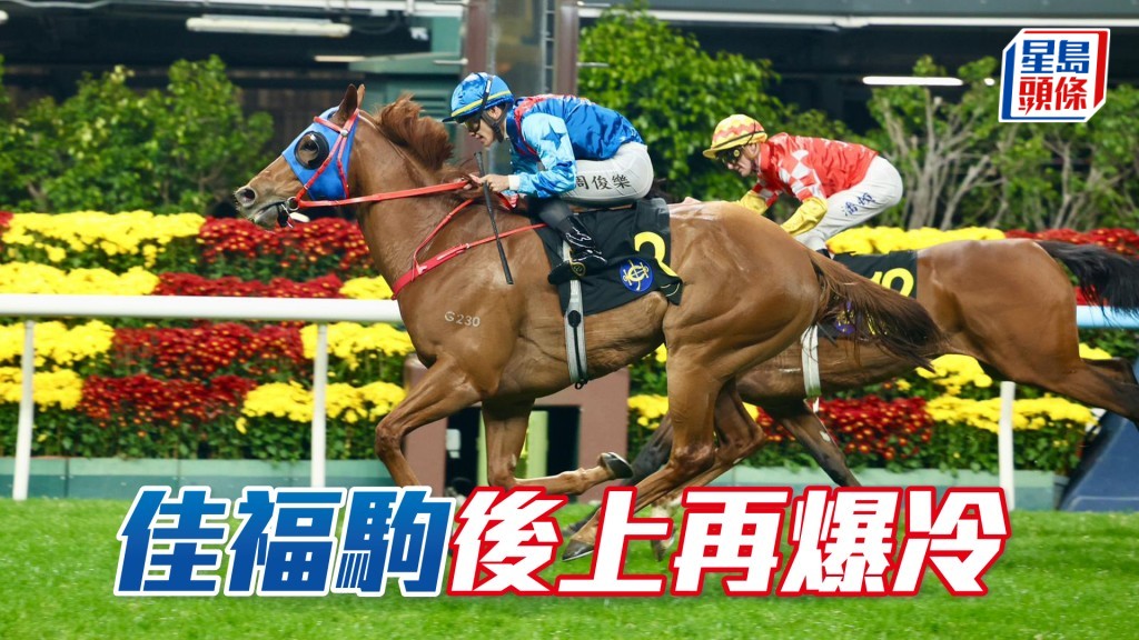 「佳福駒」後上再爆冷