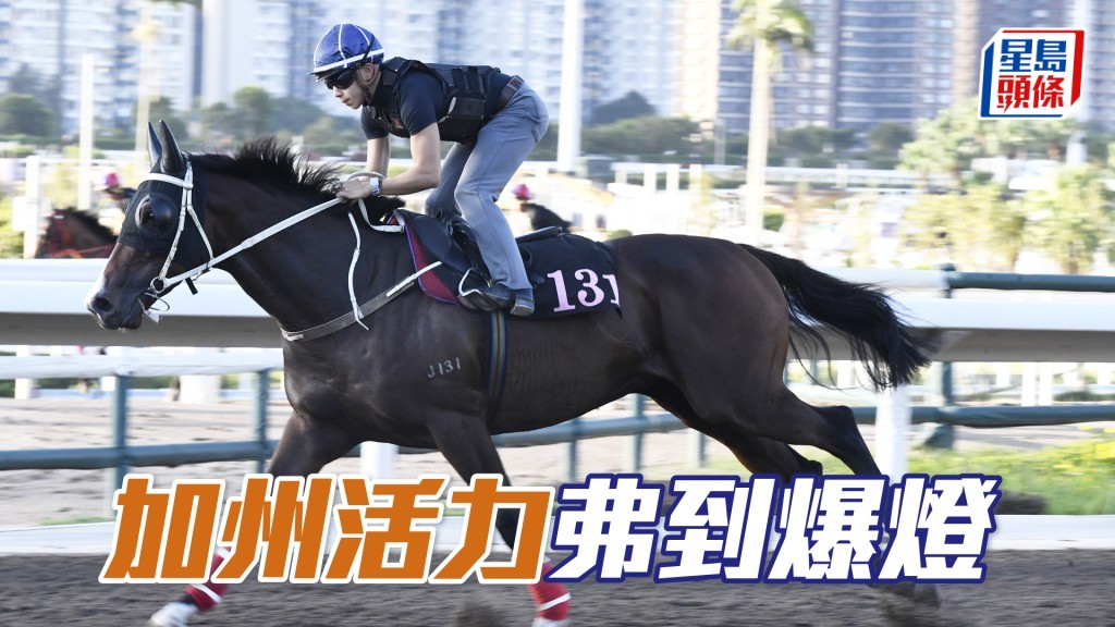  「加州活力」四蹄盡展彈力十足。
