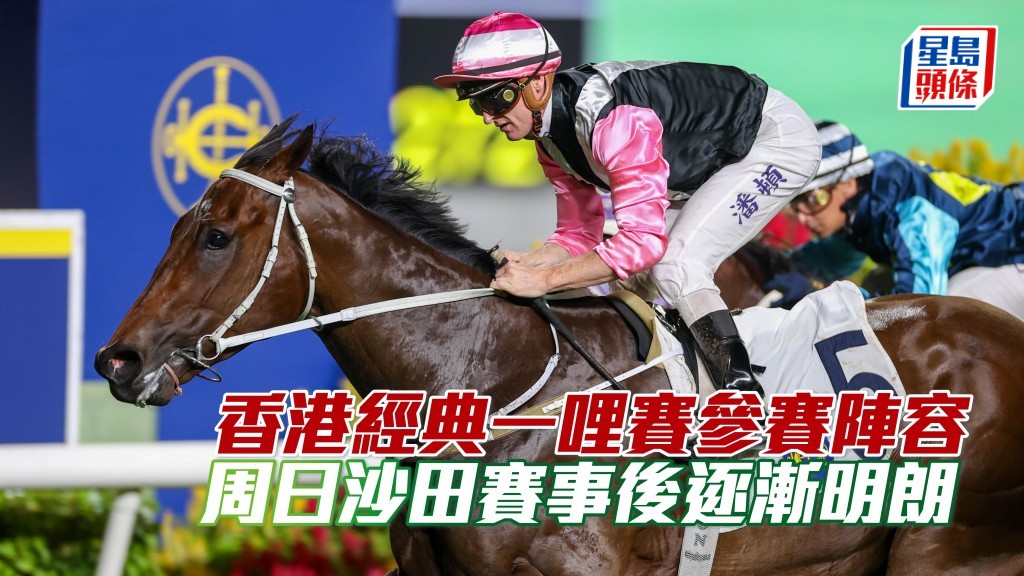 香港經典一哩賽參賽陣容，料在周日沙田賽事後逐漸明朗。