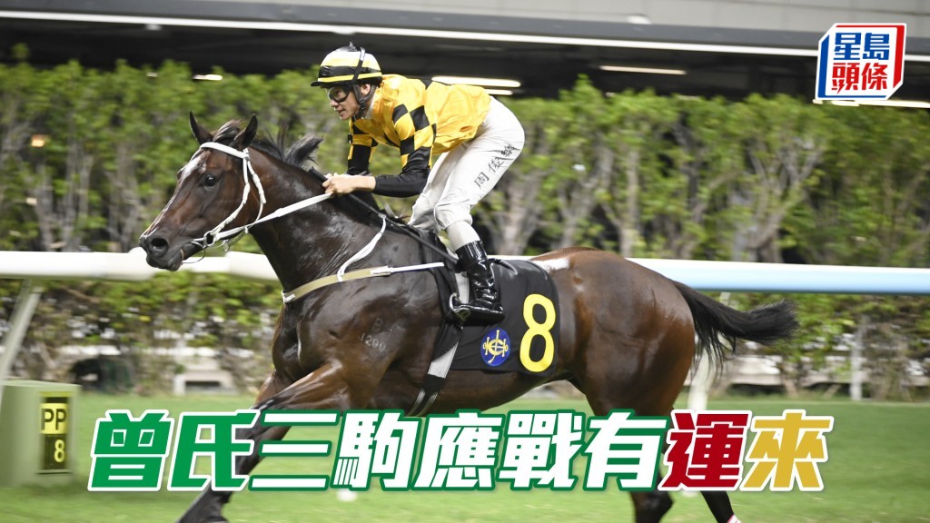 告東尼透露「東來欣賞」近期狀態好弗。