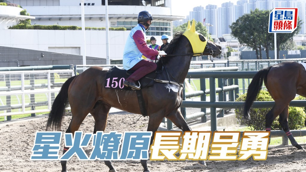 「星火燎原」雙耳烔烔目光銳利，神生步爽充滿霸氣。