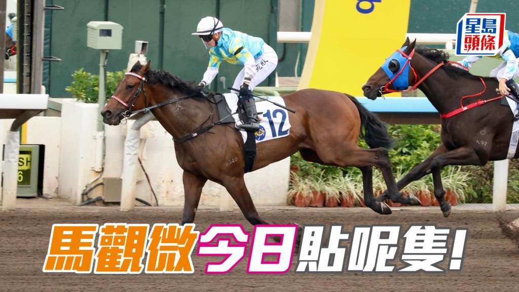 「樂勝天下」泥都泥了