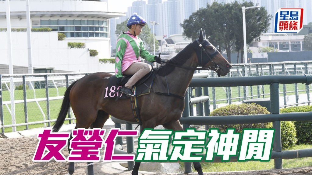 「友瑩仁」暗火展現雙目有神，走勢爽勁長在勇境。