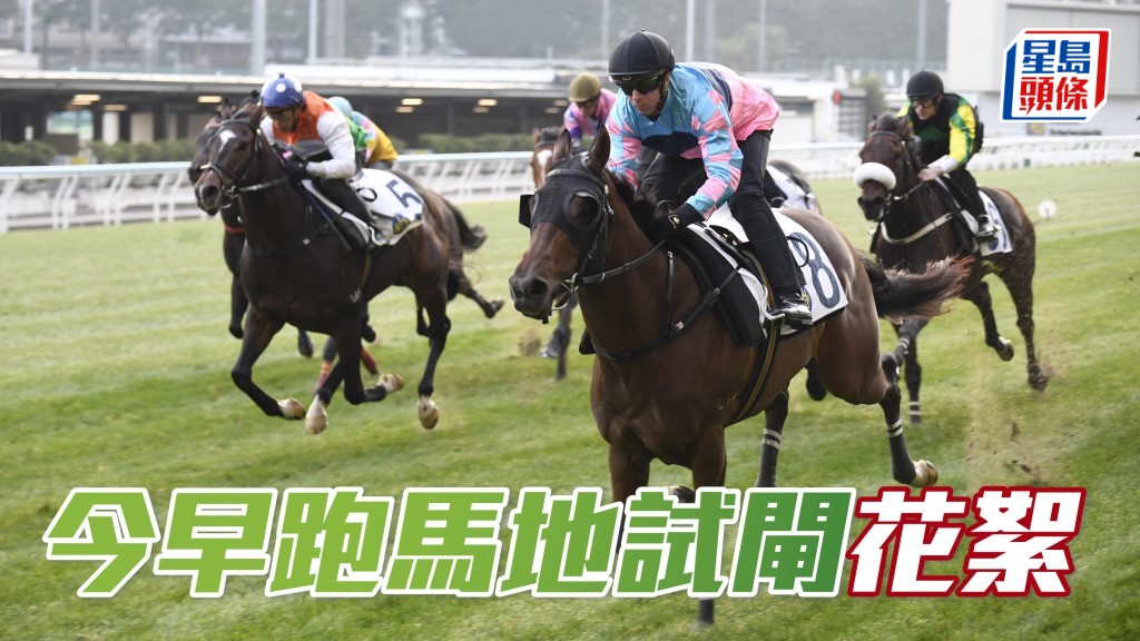  今早跑马地举行试闸，多位马主撑场，观看旗下马匹出试。