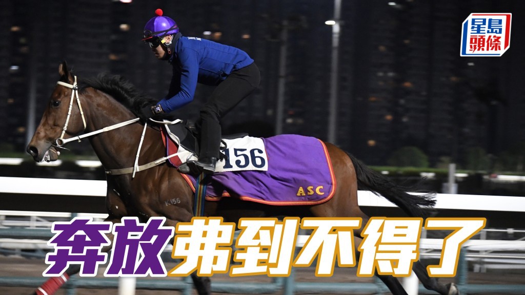 「奔放」助手跳兩段，氣宇軒昂外觀省鏡，狀態弗極。