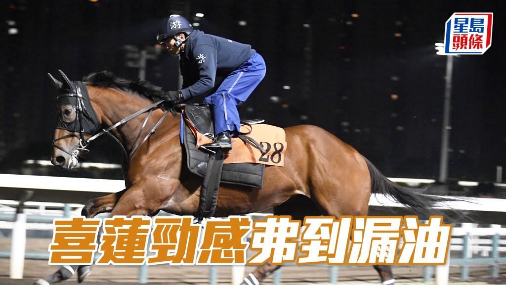 「喜蓮勁感」聚精會神且唔再搶口，神生步爽馬身又靚。