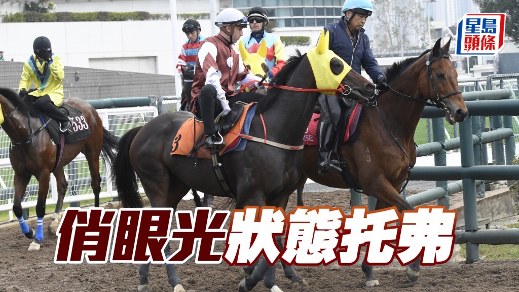 「俏眼光」氣宇軒昂試得淡定，神態活躍力度充足。