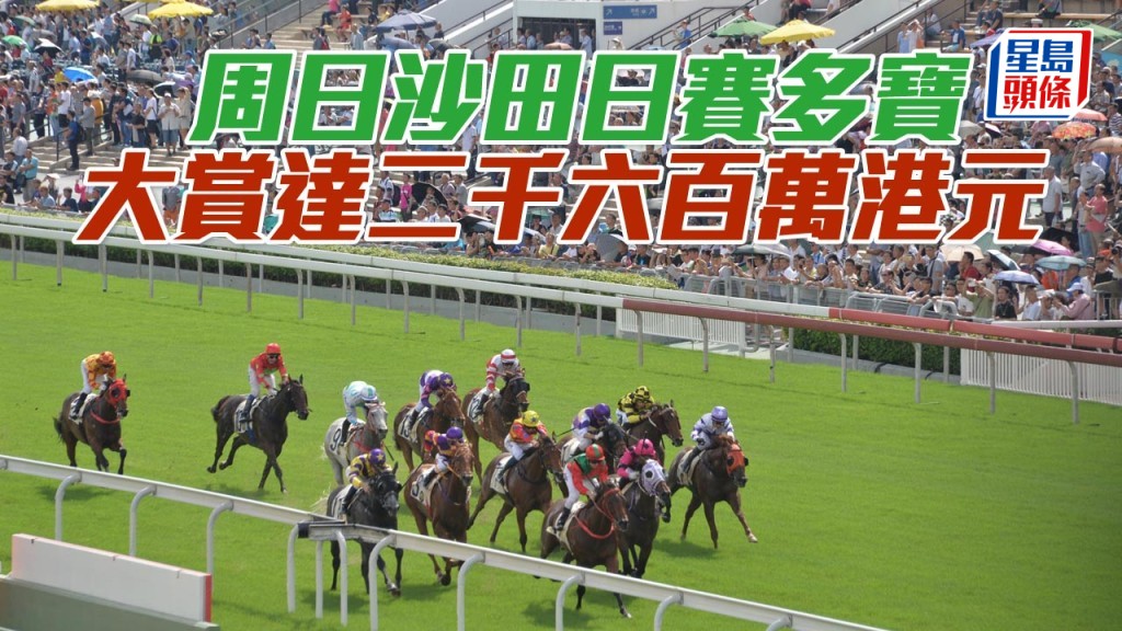 周日沙田日賽多寶大賞共高達2,600萬港元