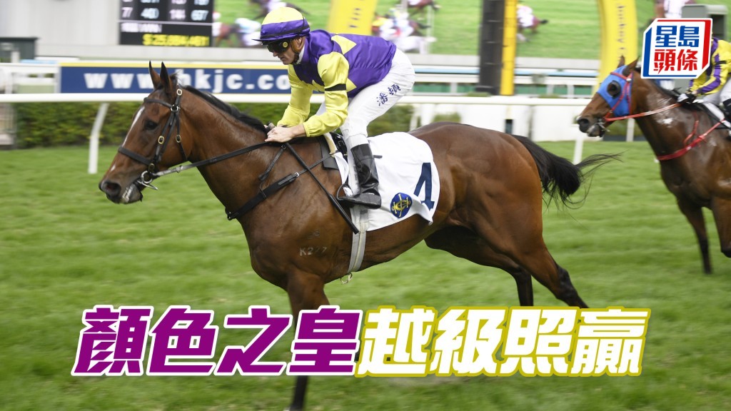 「顏色之皇」今次初跑級際賽遇強手，但實力仍未見底，力足言勝。