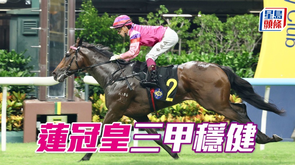 「蓮冠皇」今仗對手非強，三甲穩健。