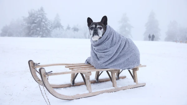 Nicht nur im Taunus, wie hier auf dem Großen Feldberg, liegt Schnee. Auch in Frankfurt hat sich die weiße Pracht gehalten.