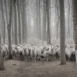 2015，大崩溃的一年