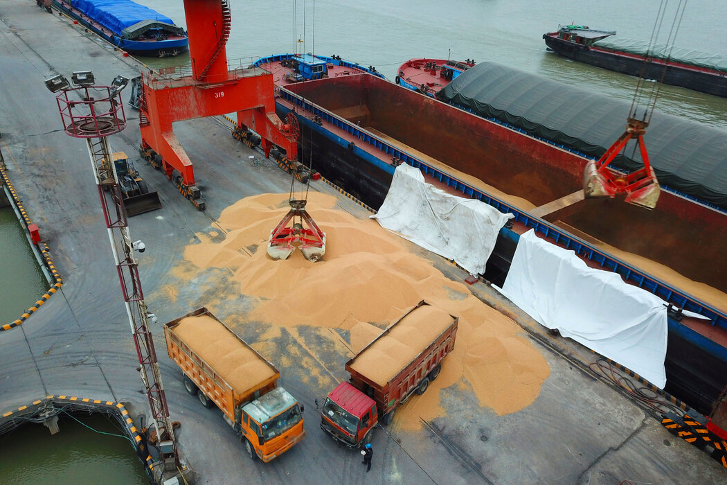 中國東部某港口正在卸載來自巴西的大豆。過去十年，中巴貿易額大約翻了一番。