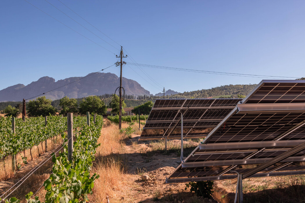 安装太阳能后，如今兰泽拉克酒庄每年只在少数几个月需要依赖电网供电。