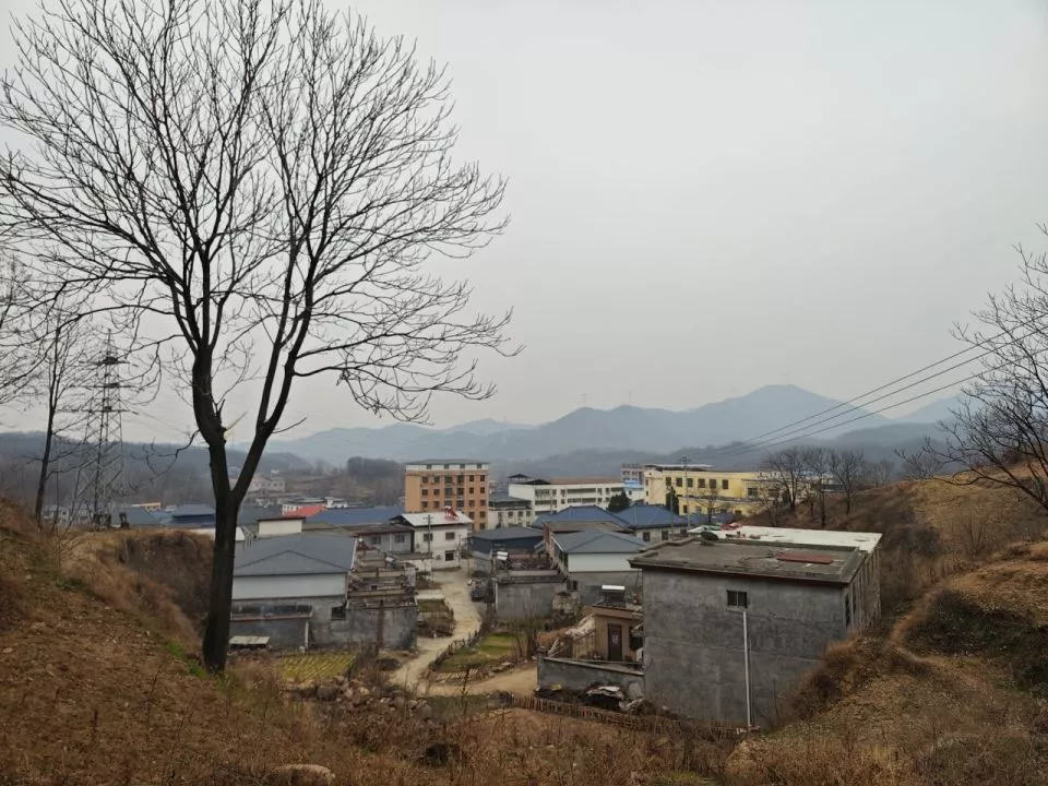 女教师新婚坠亡悲剧:催婚争论背后的相亲、彩礼和后事