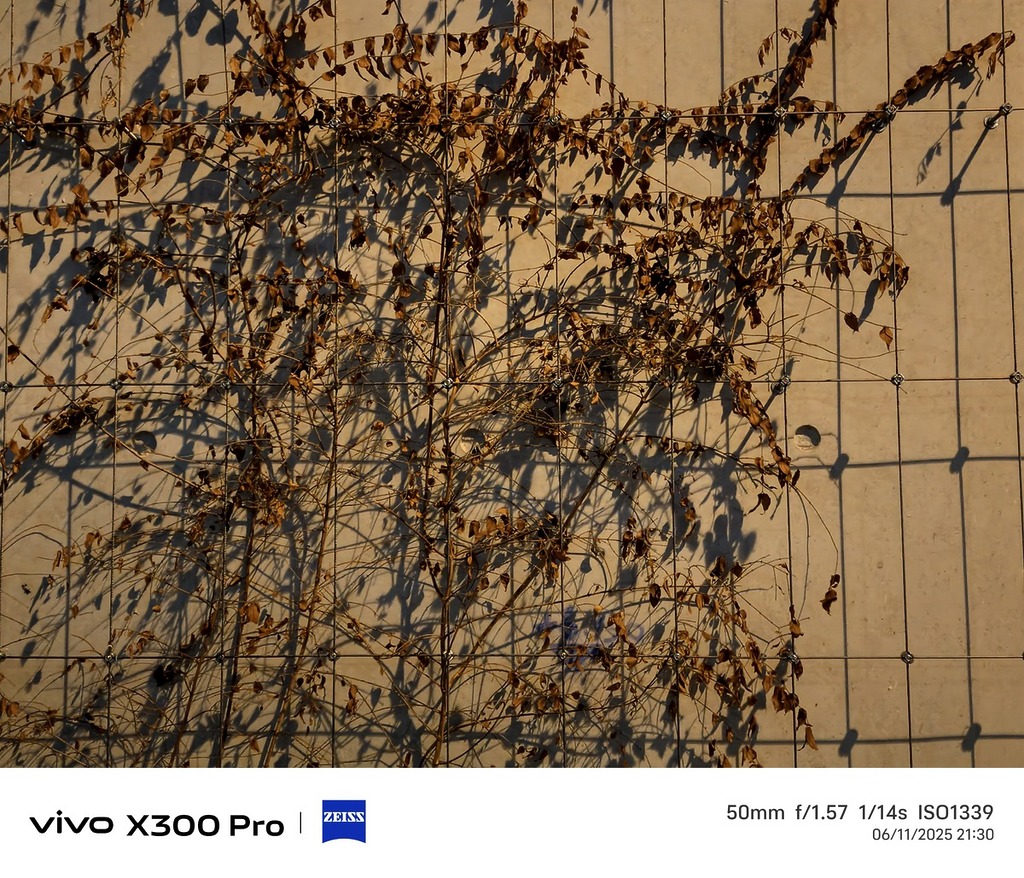 輕鬆捕捉現實中氛圍感覺。