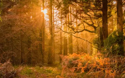 cs_azelio Kundcase Azelio