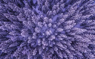 cs_formpipe Kundcase Formpipe