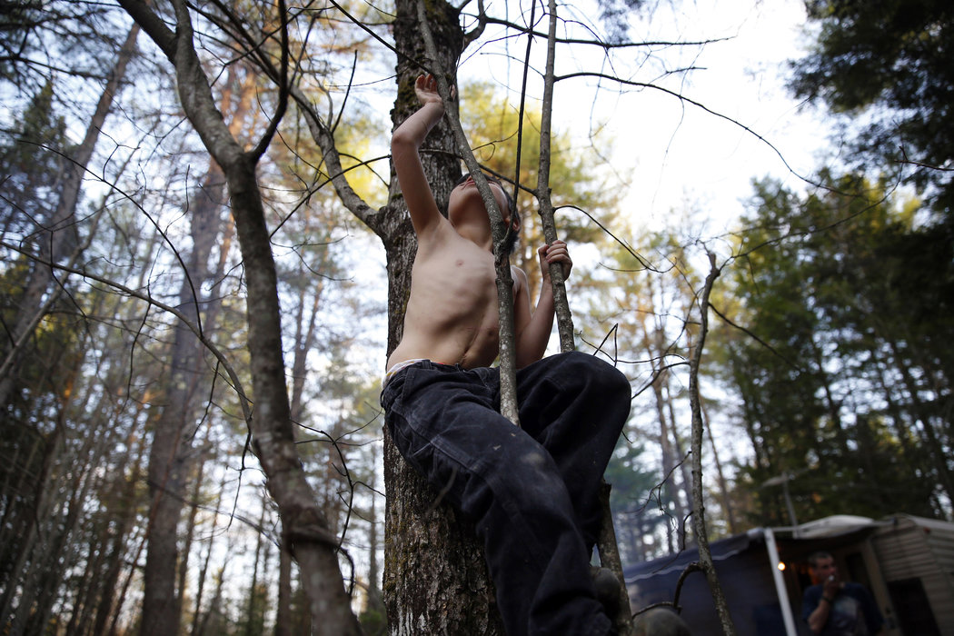 在这张2015年11月的照片里,施特赖德·沃夫爬上一颗树,露出了他肚子上的一个伤疤。这是他小时候被人虐待时留下的痕迹。这张照片是杰西卡·里纳尔迪的获奖作品之一。