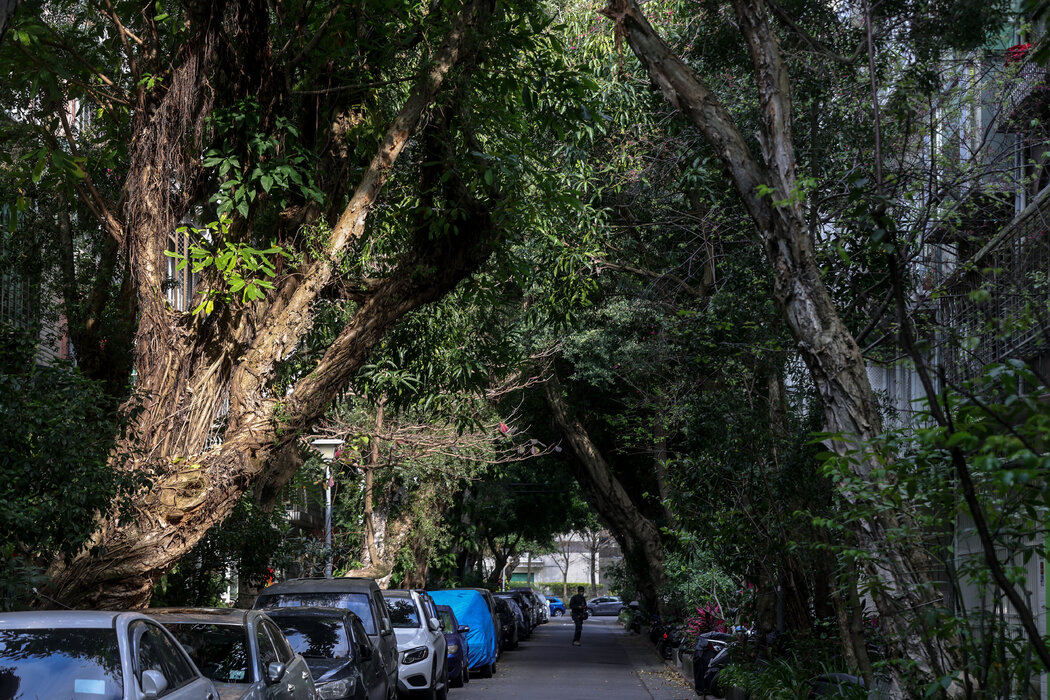民生社区街道两旁树荫浓密。附近是松山文化公园,一座由旧烟草厂改建而成的展览和零售空间。