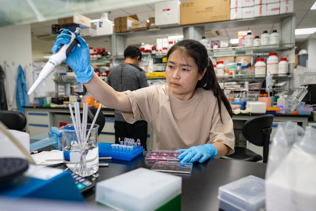 北京大学,正在做实验的学生。中国的科技专业毕业生在劳动力中所占比例低于许多西方国家。