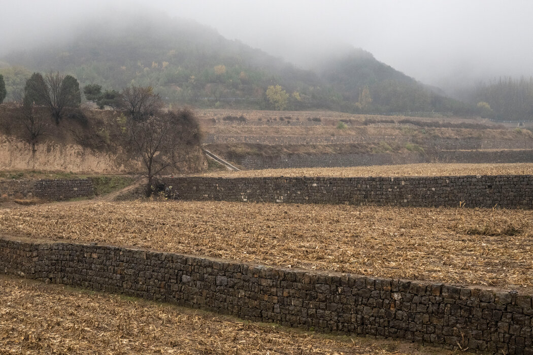 大寨梯田是村民們將瘠薄土地開墾為肥沃農田的努力,在毛澤東領導下的中國共產黨眼中堪稱壯舉,但官方敘事誇大了他們的成就。