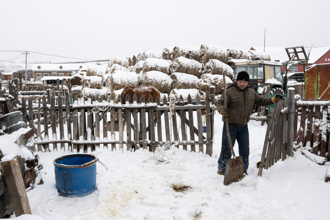 恩和的一名俄羅斯族居民周勇(音)正在馬廄前清理積雪,攝於11月。